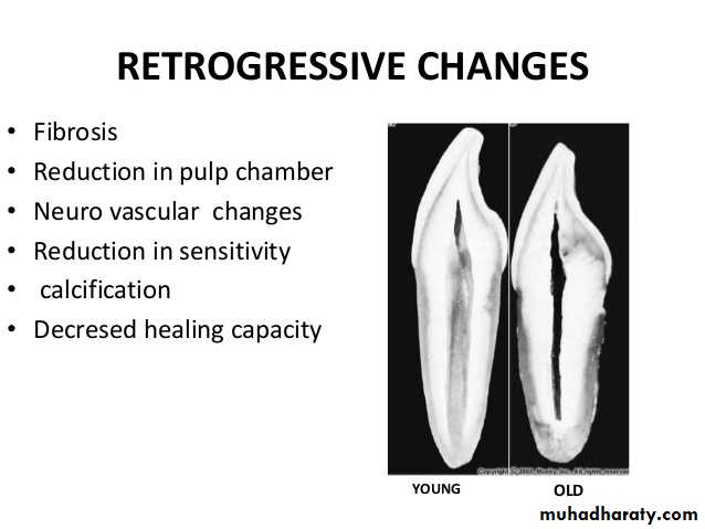 Pulpal diseases and related periapical pathosis part 22