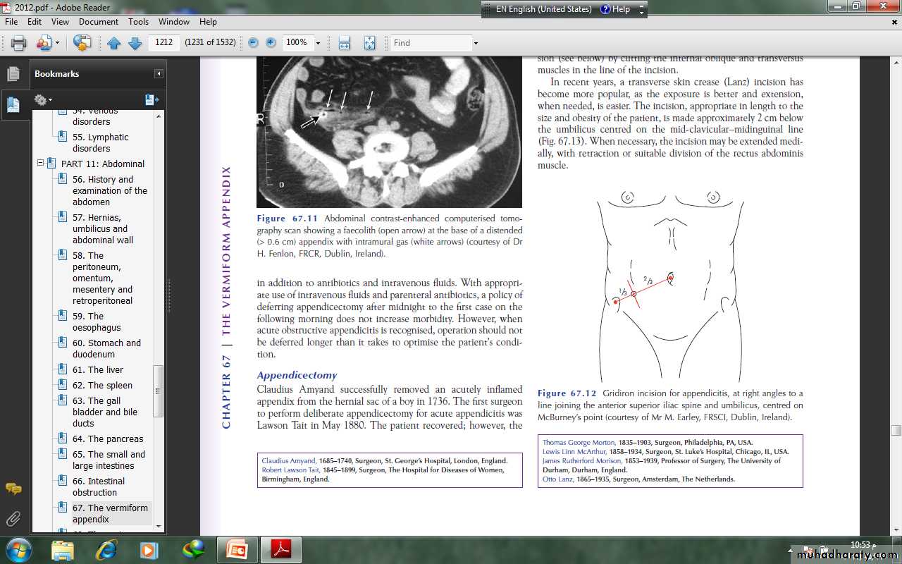The Vermiform Appendix