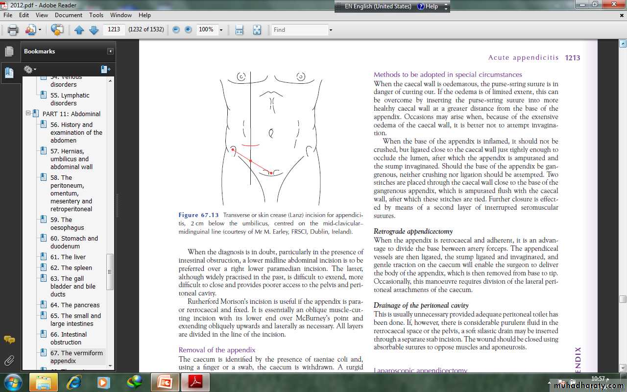 The Vermiform Appendix