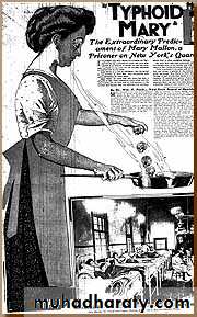 Typhoid Fever