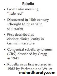 Measles & Rubella