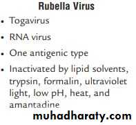 Measles & Rubella