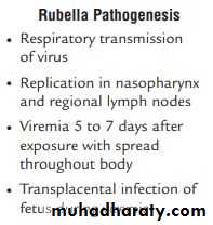 Measles & Rubella