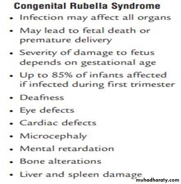 Measles & Rubella