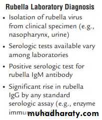 Measles & Rubella