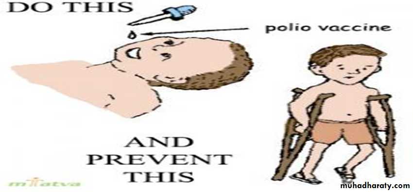 Vaccination