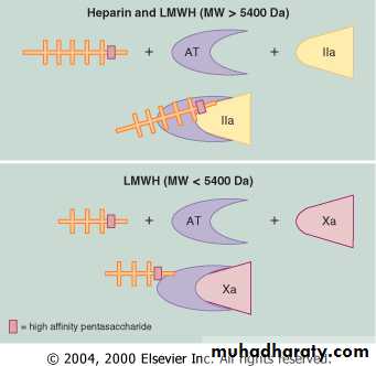 STEMI