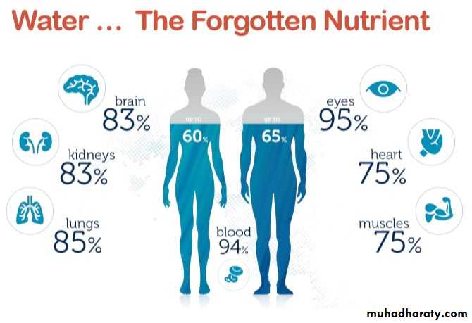 Nutrition