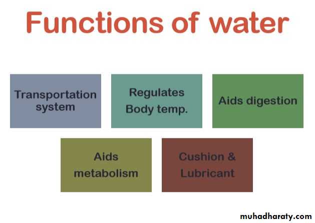 Nutrition