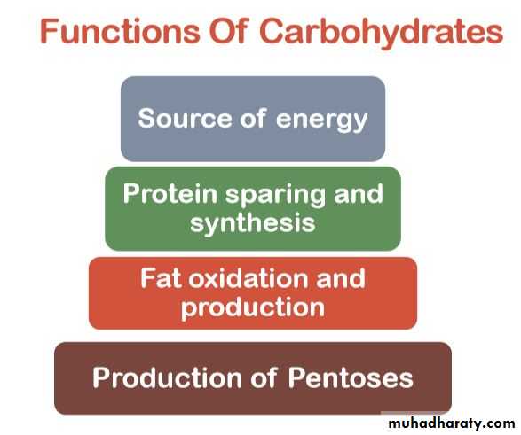 Nutrition