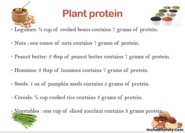 Nutrition