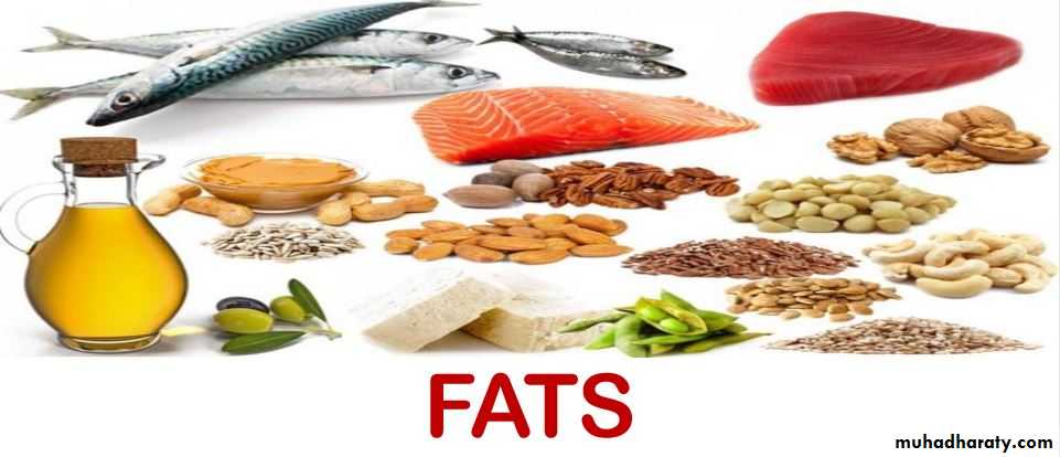Nutrition