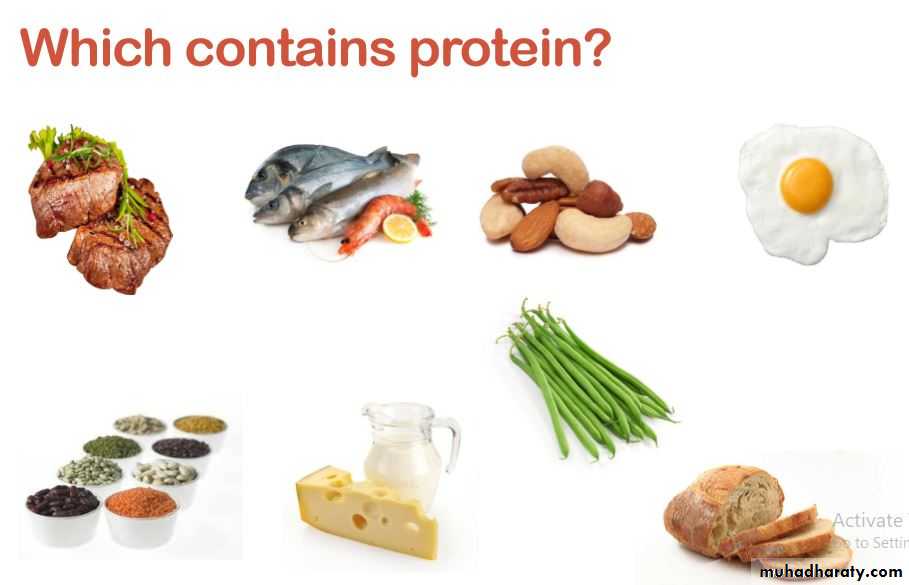 Nutrition