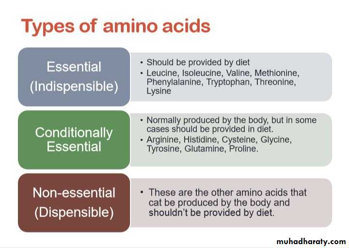 Nutrition