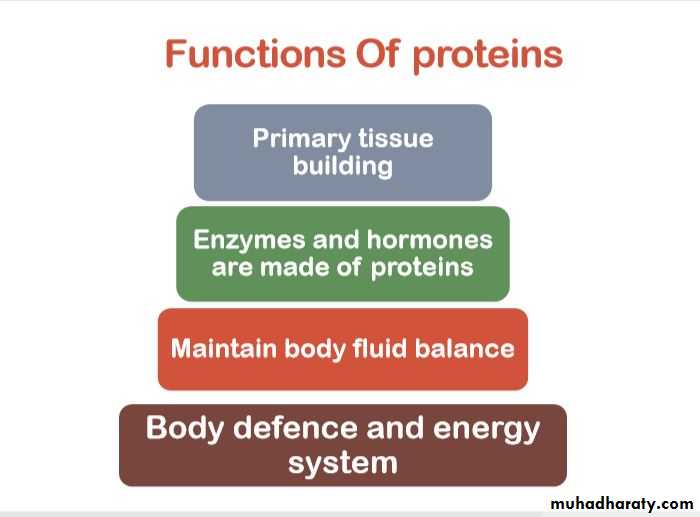 Nutrition