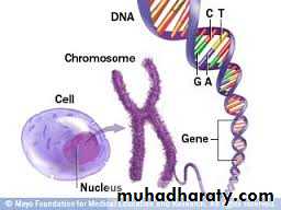 Microbial Genetic