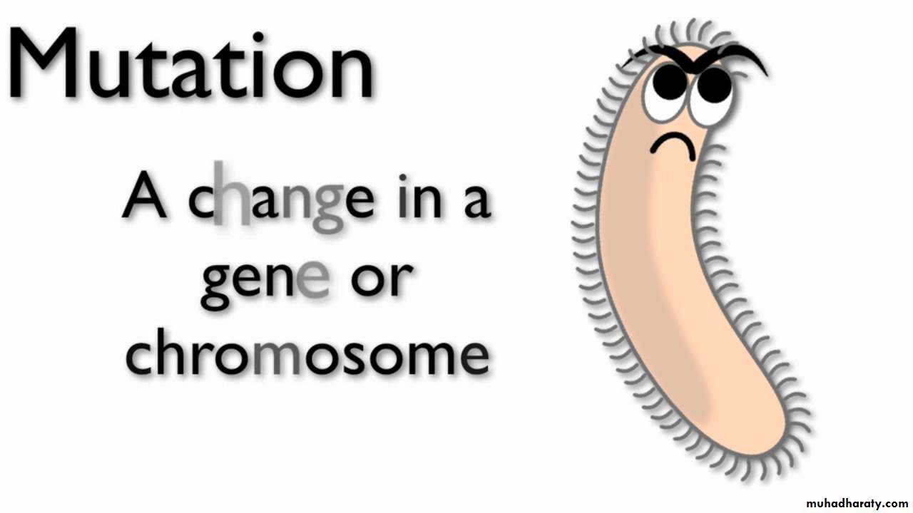 Microbial Genetic