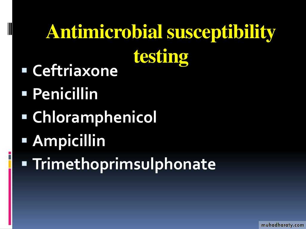 Streptococcus pneumonia