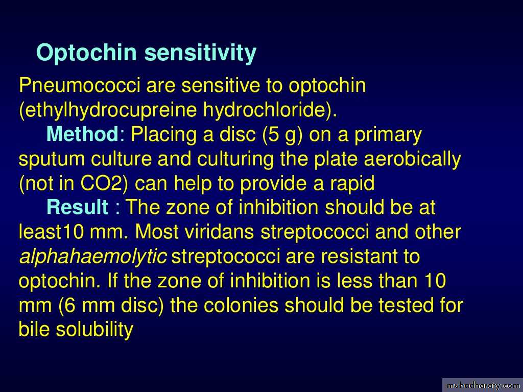 Streptococcus pneumonia