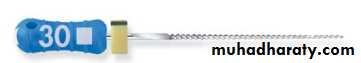 Endodontic instruments