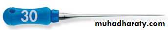 Endodontic instruments
