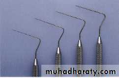 Endodontic instruments