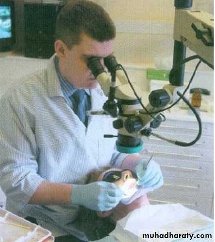 Endodontic instruments