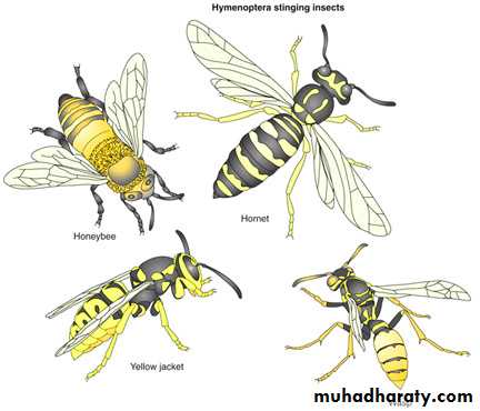 Disorders in Immunity