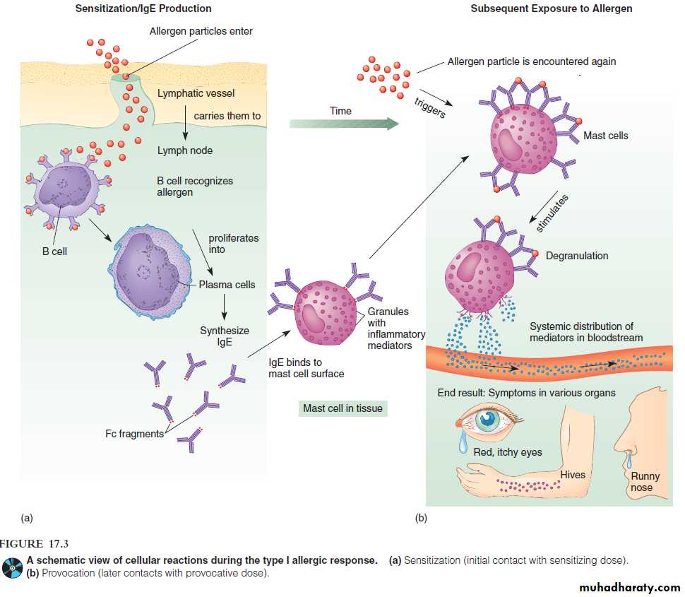 Disorders in Immunity