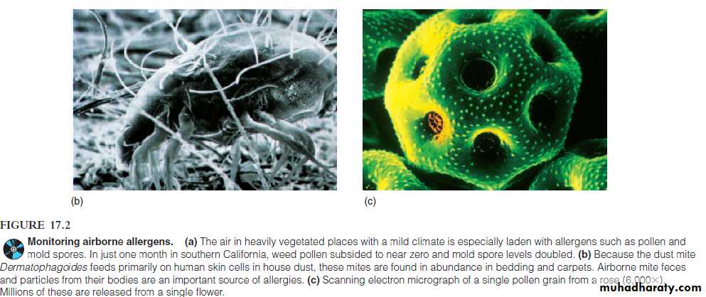 Disorders in Immunity