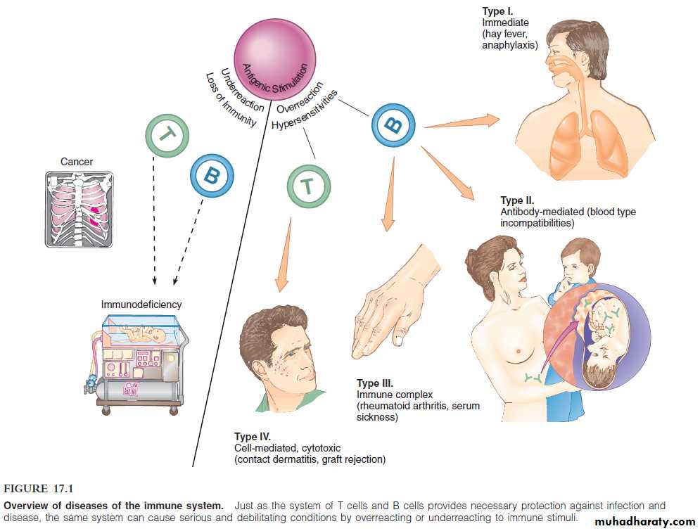 Disorders in Immunity