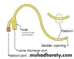 Surgical Instruments
