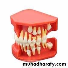 Development of dental occlusion