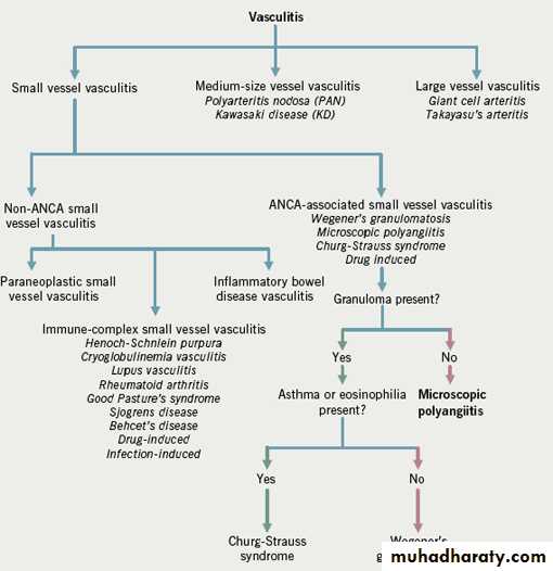 Vasculitis