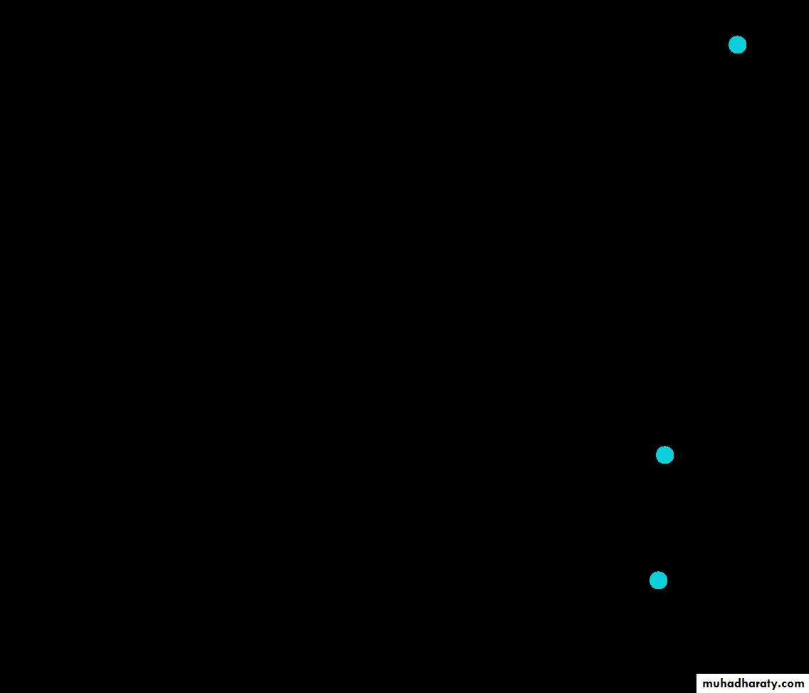 Antiphospholipid Syndrome