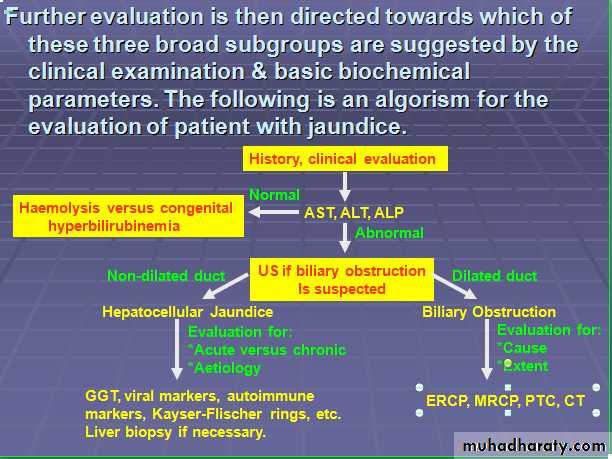 Liver and Biliary Diseases