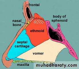 Epistaxis