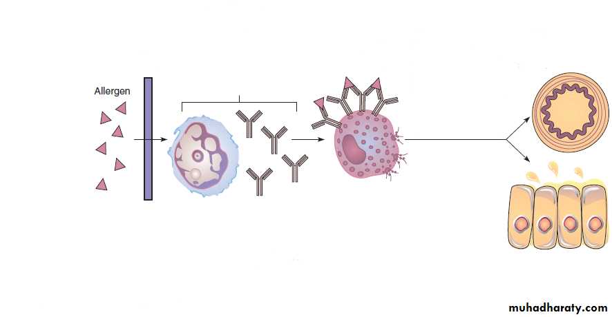 Disorders in Immunity