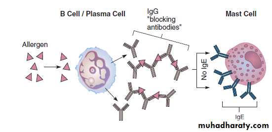 Disorders in Immunity