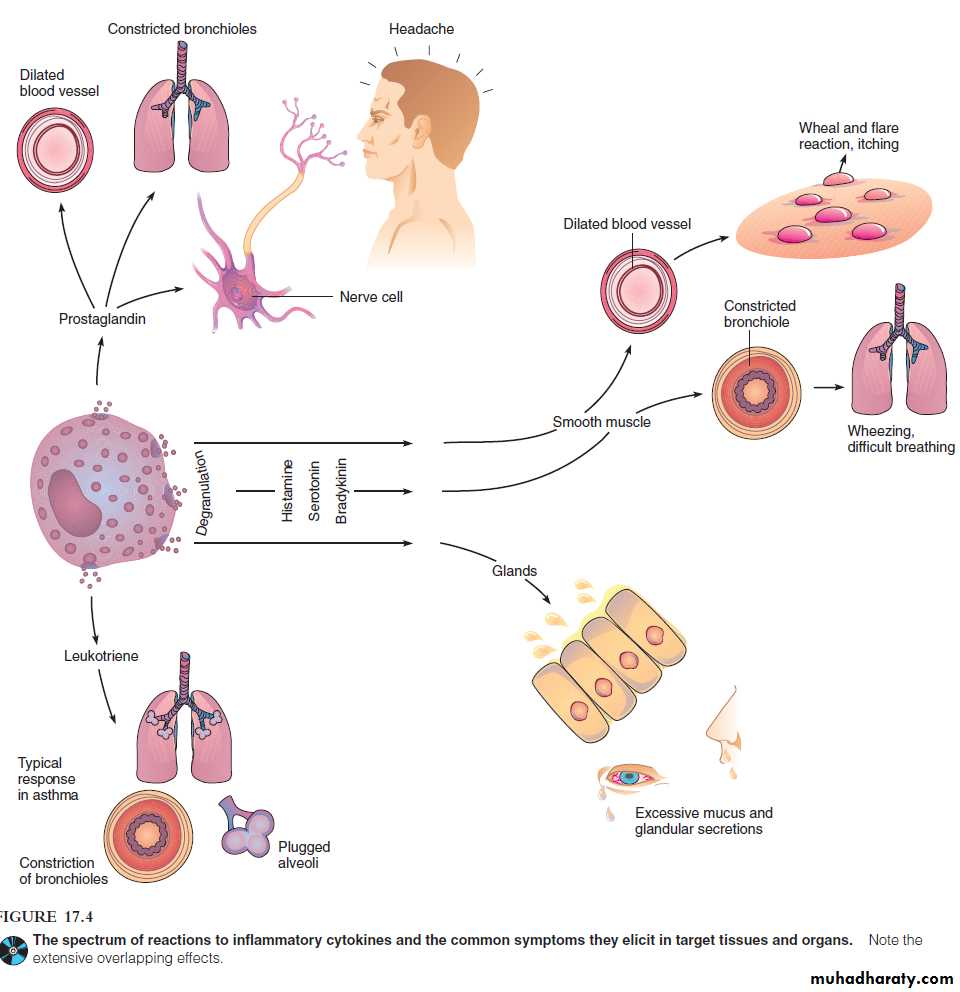 Disorders in Immunity