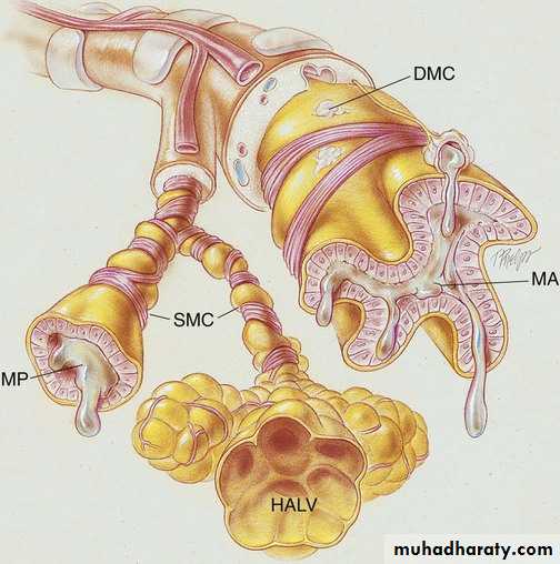 Disorders in Immunity