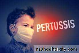 Pertussis