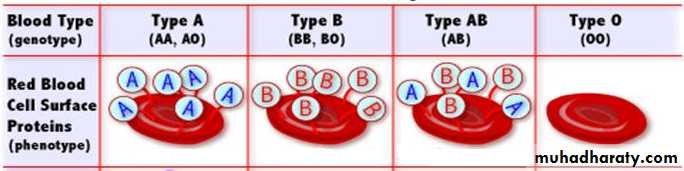 Mendel Laws