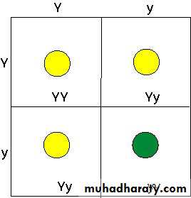 Mendel Laws