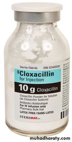 Antibiotics. Part 1