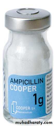 Antibiotics. Part 1
