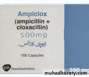 Antibiotics. Part 1