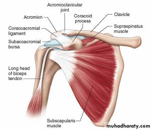 Shoulder disorders