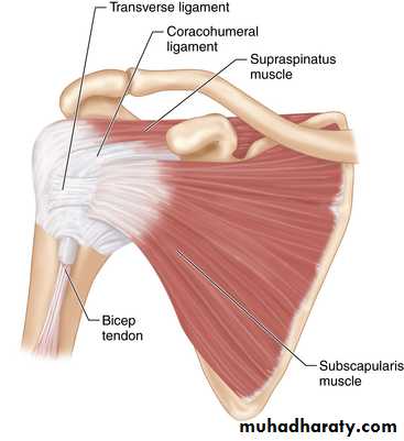Shoulder disorders
