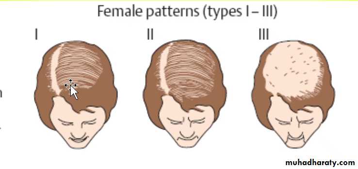 Hair Problems. Part 2